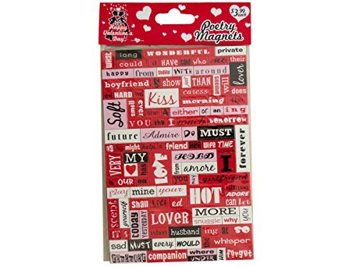 Valentine's Day Poetry Conversation Magnets